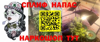 мяу мяу мука Кинель