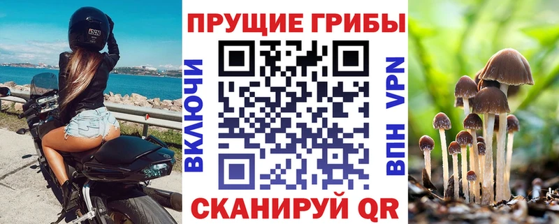 Псилоцибиновые грибы Psilocybe  mega ТОР  Можайск 