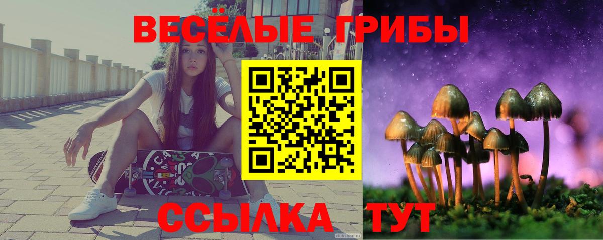 Псилоцибиновые грибы Magic Shrooms  Вход с VPN  Псилоцибиновые грибы Psilocybine cubensis  Можайск 